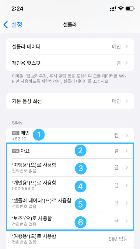 iOS ICCID 확인